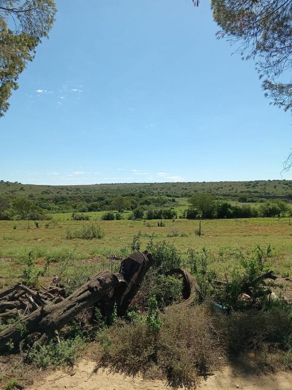 4 Bedroom Property for Sale in Grahamstown Eastern Cape